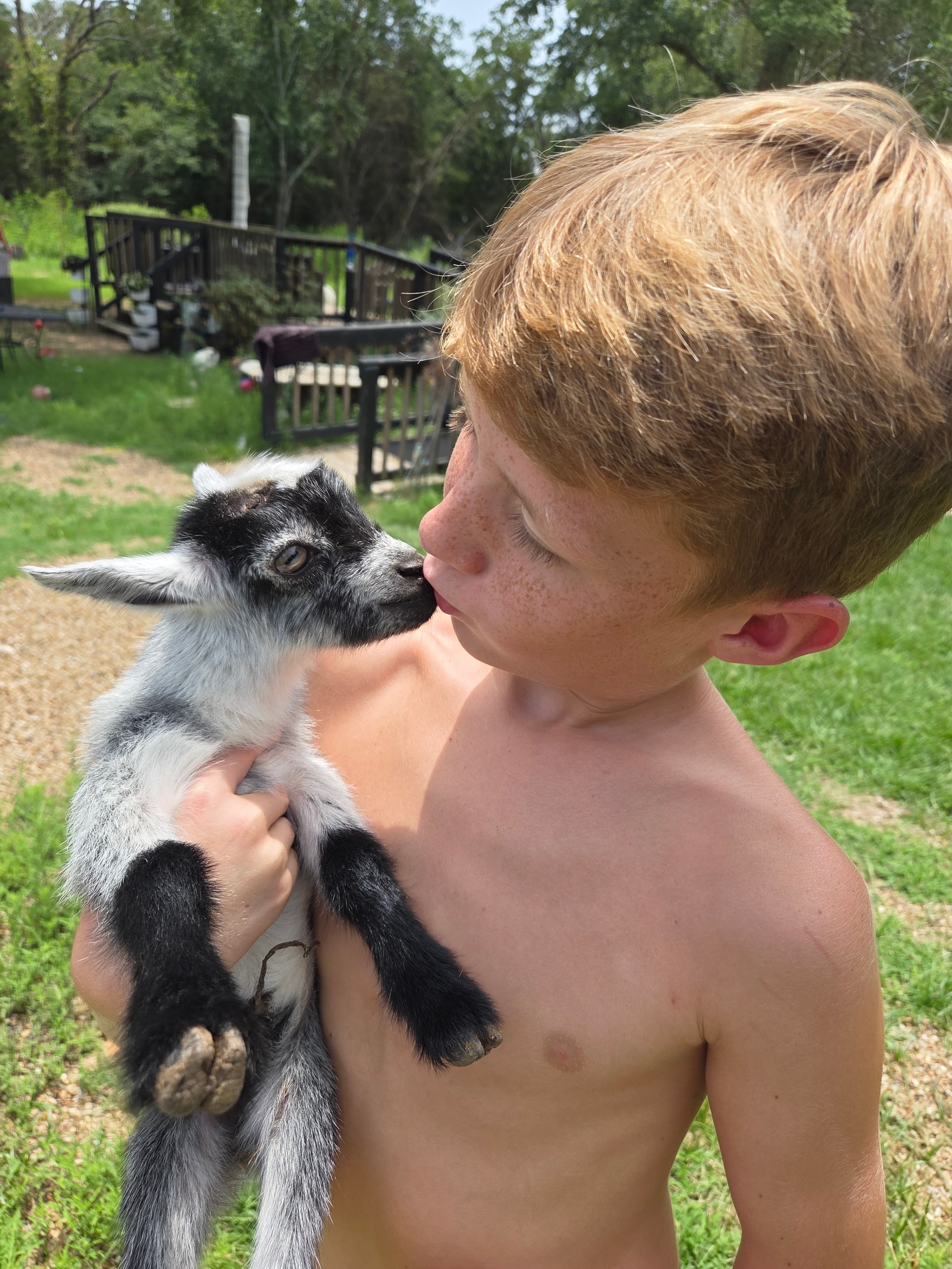 Boy with baby goat